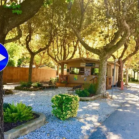 Camping Bungalow Resort Ameglia Ameglia