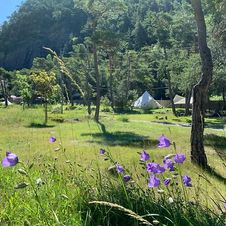 Camping Bungalow Resort Ameglia *