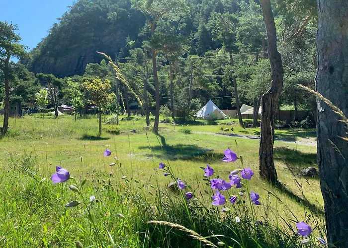 Camping Bungalow Resort Ameglia *